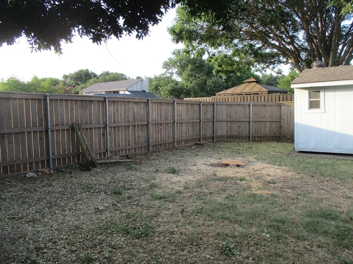 Cleared yard after professional tree removal in Siasconset